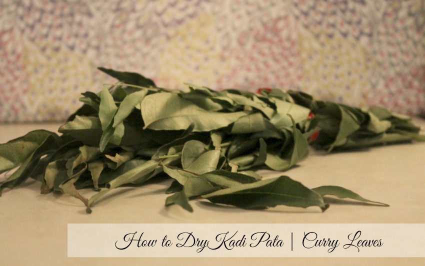 how to dry kadi pata curry leaves