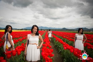 roozengaarde tulip festival