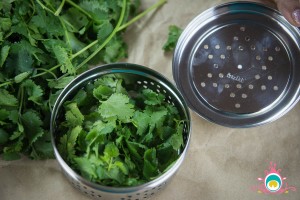 storing cilantro