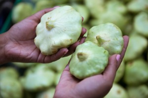 summer squash