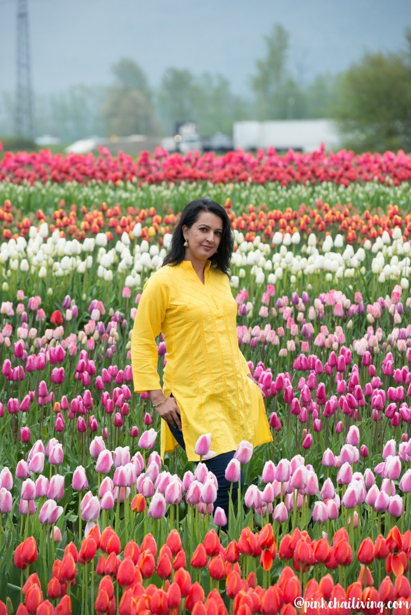 abbotsford bloom tulip festival 7