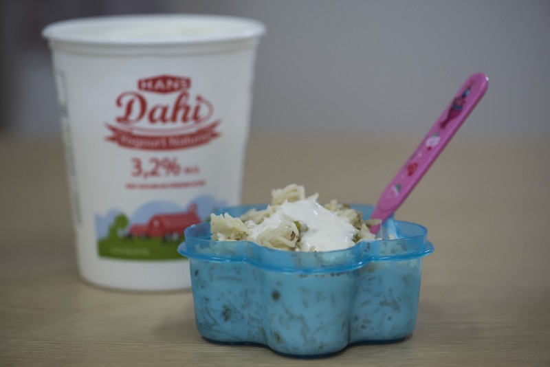 hans dairy 2