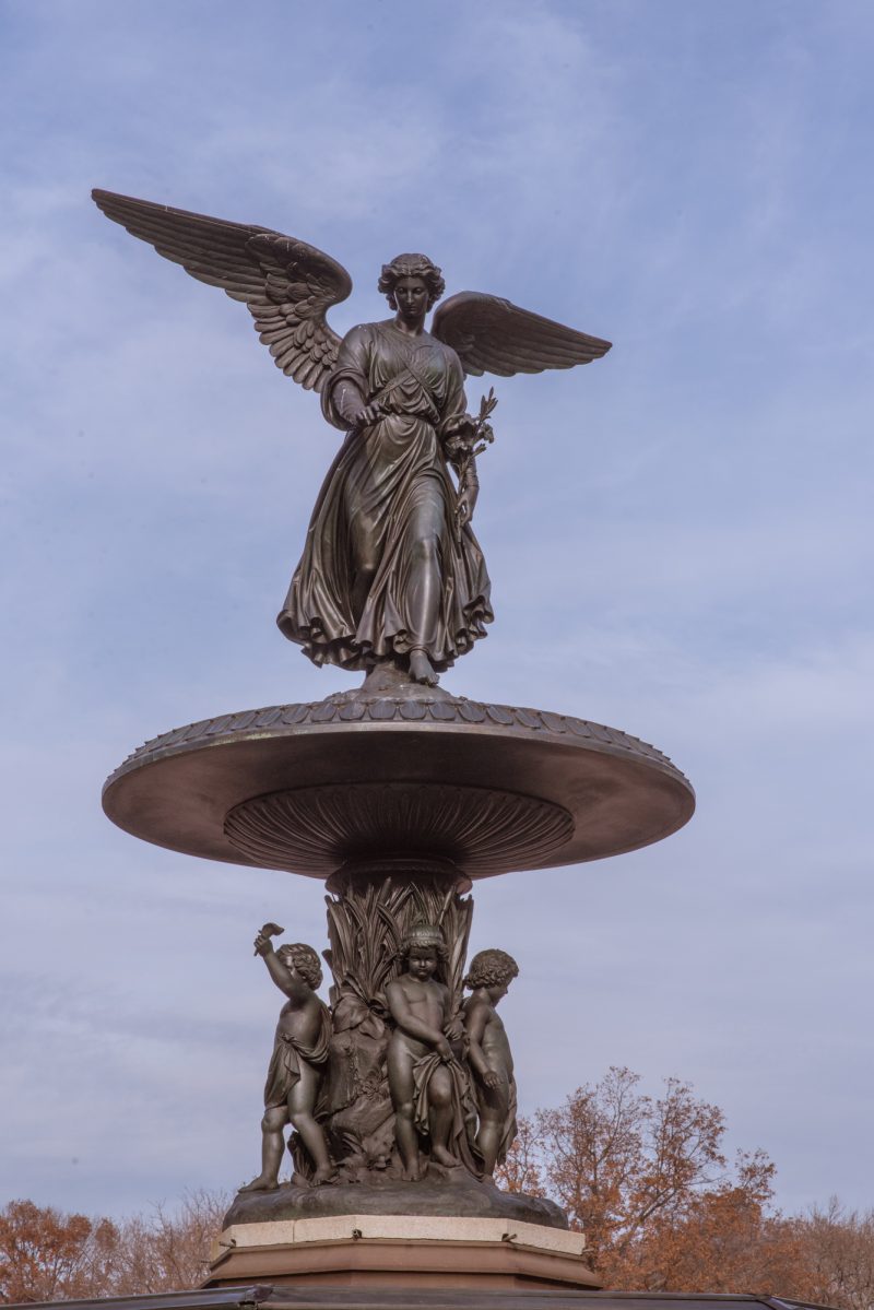 bethesda fountain | pink chai