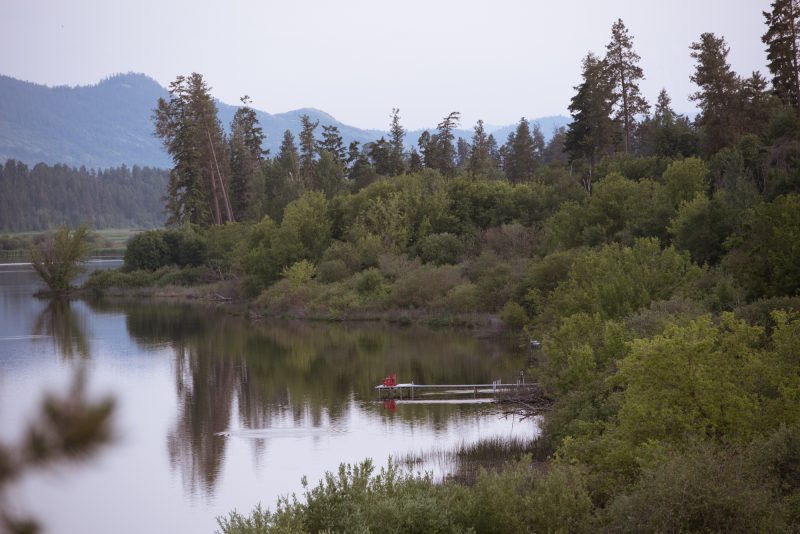 otter lake armstrong bc