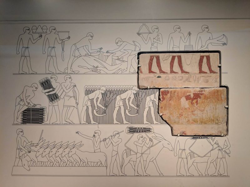 royal bc museum